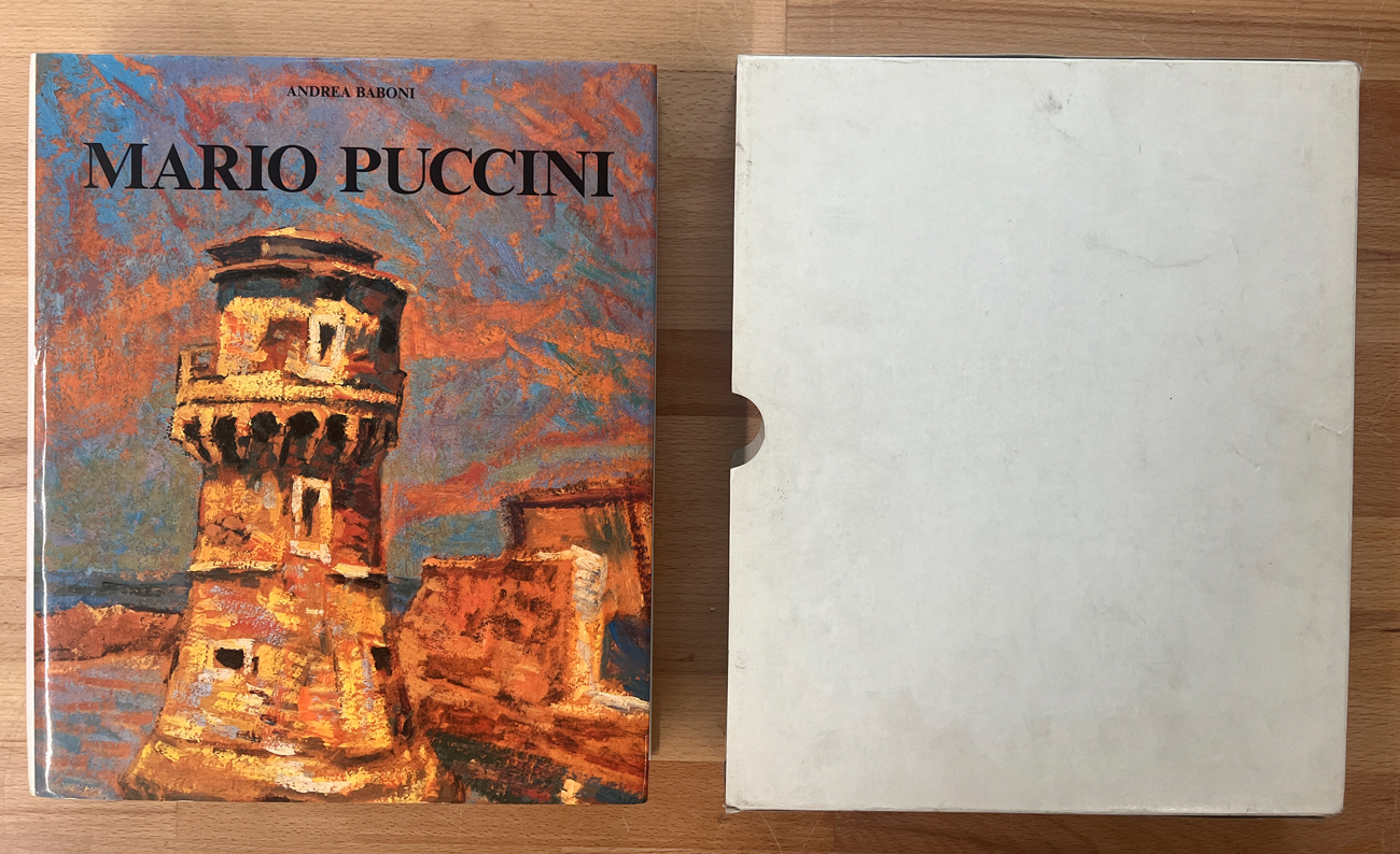 MARIO PUCCINI - Mario Puccini, per un catalogo dell'opera, 1989