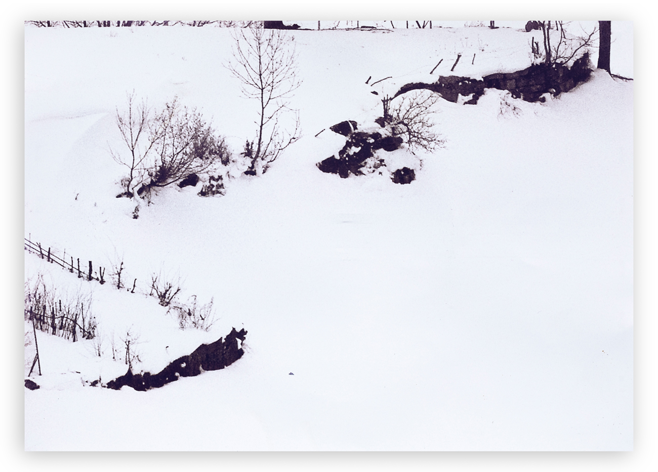 ABBAS GHARIB - Snow and nature composition, 2003