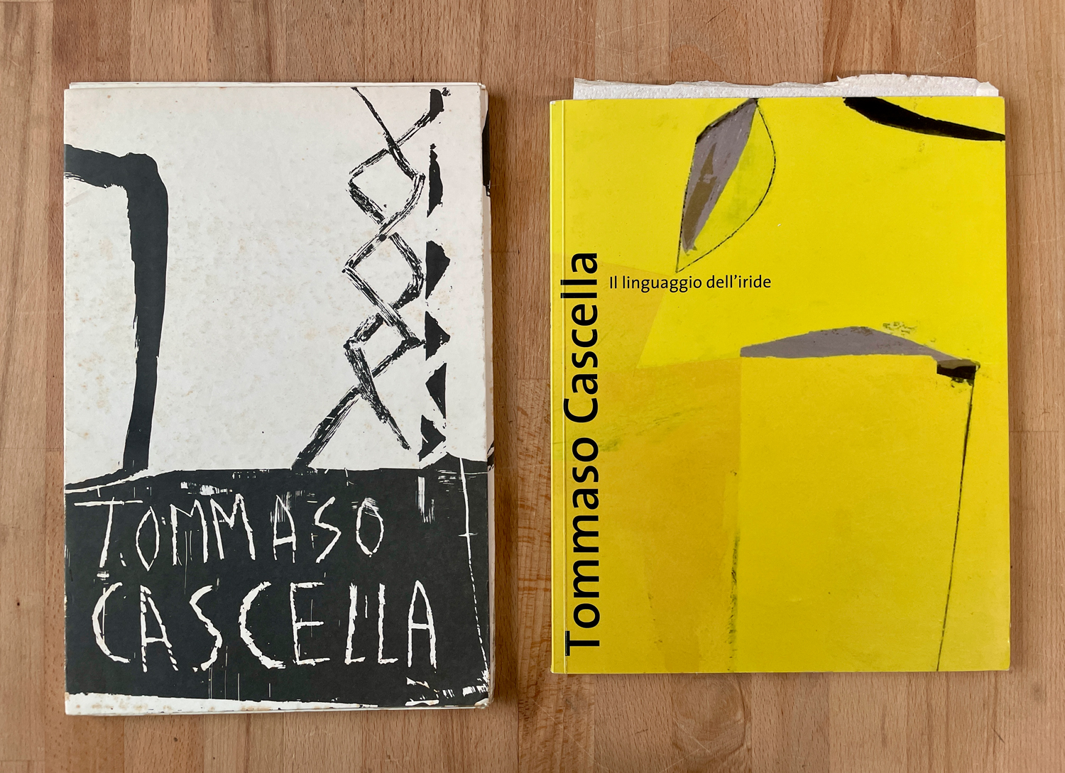 CATALOGHI CON DISEGNO (TOMMASO CASCELLA) - Tommaso Cascella. Il linguaggio dell'iride, 2006