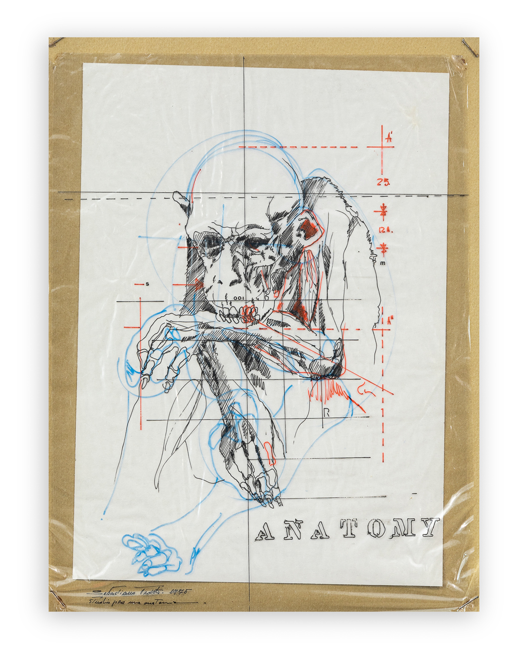 SEBASTIANO TROVATO (1948) - Anatomy (Studio per una anatomia), 1975