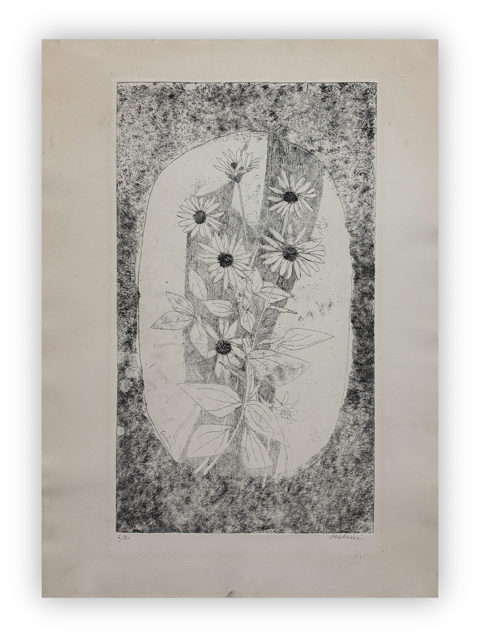 ENRICO PAULUCCI (1901-1999) - Fiori