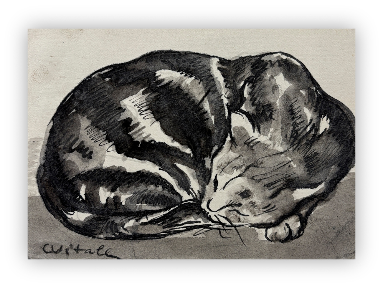 CARLO VITALE (1902-1996) - Il gatto
