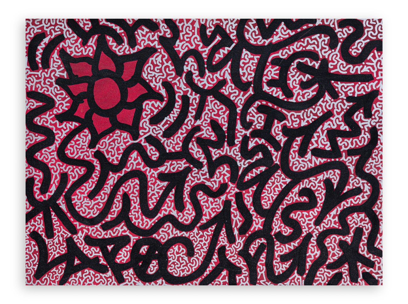 ANGEL ORTIZ (1966) - Safty Flowers, 2007