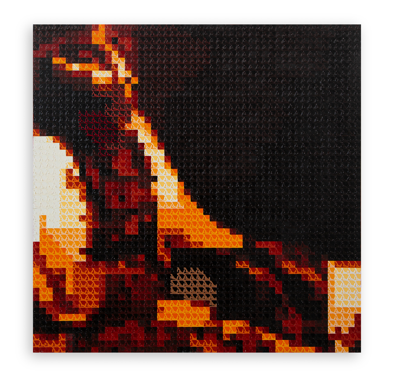 MARCELLA FABIANA BONFANTI (1979) - Situaciones de portada II, 2009