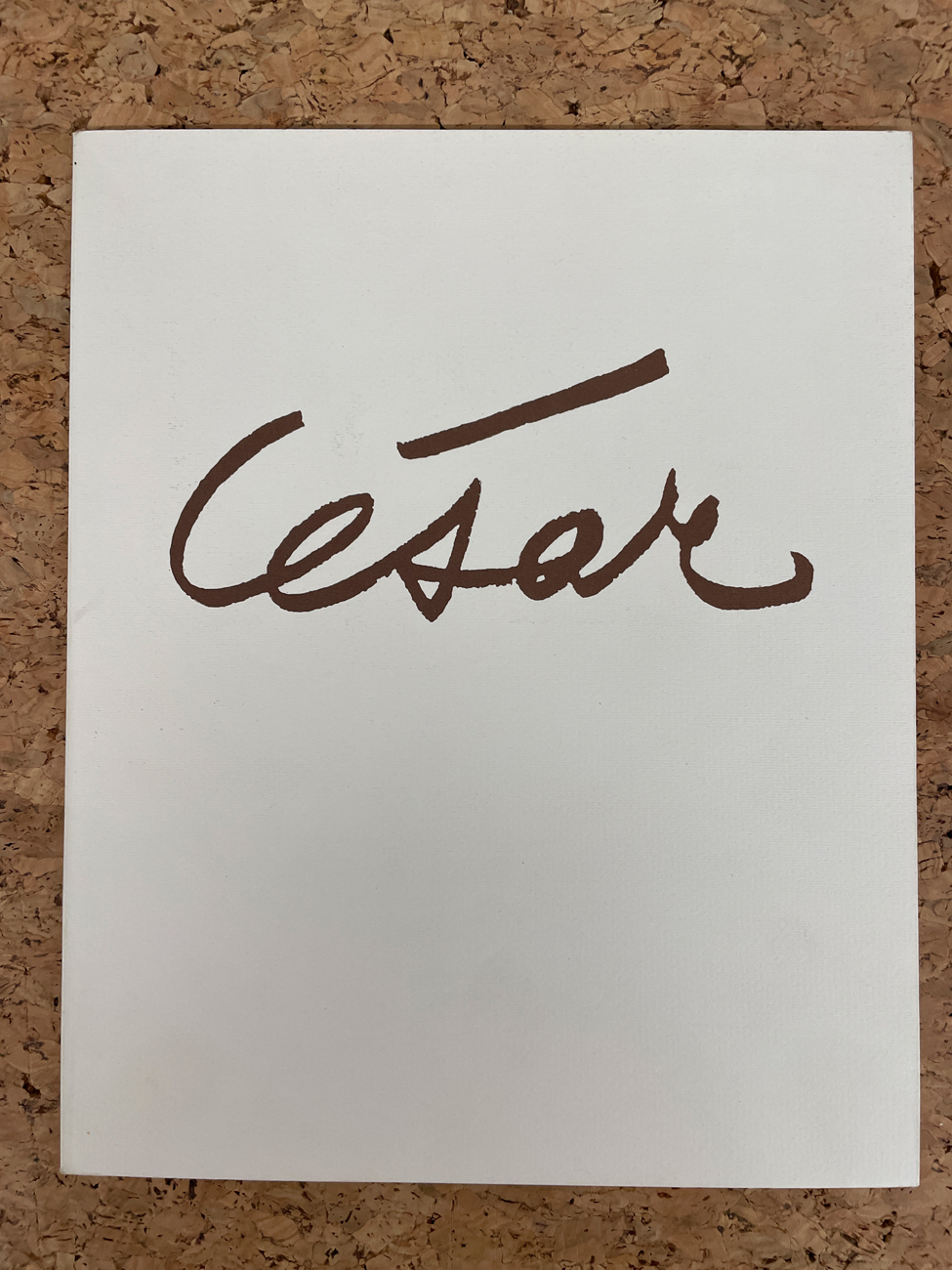 CATALOGHI CON DISEGNO (CÉSAR BALDACCINI) - César, 1988