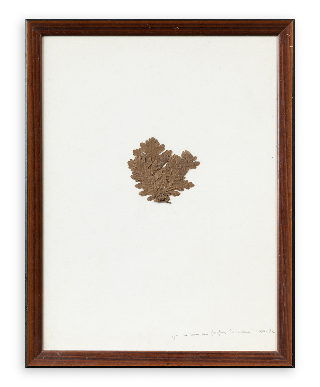 TOBAS - Senza Titolo, 1972