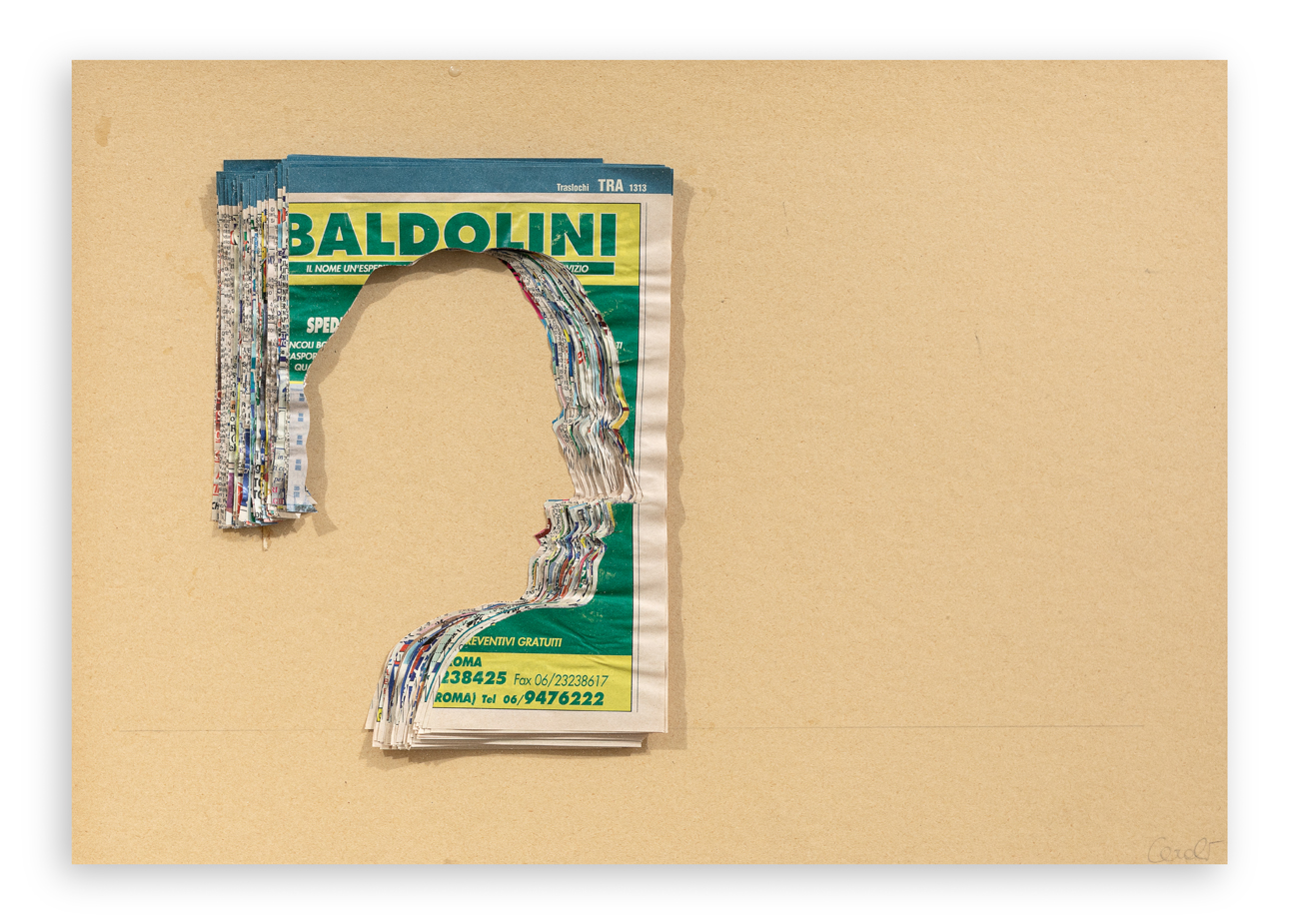 MARIO CEROLI (1938) - Profilo negativo