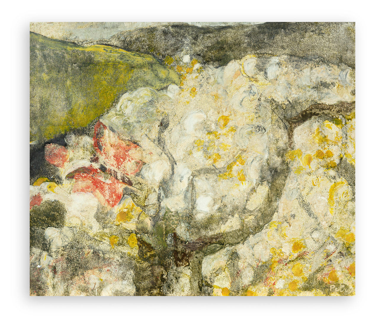 VITALE PETRUS (1934-1984)  - Senza Titolo