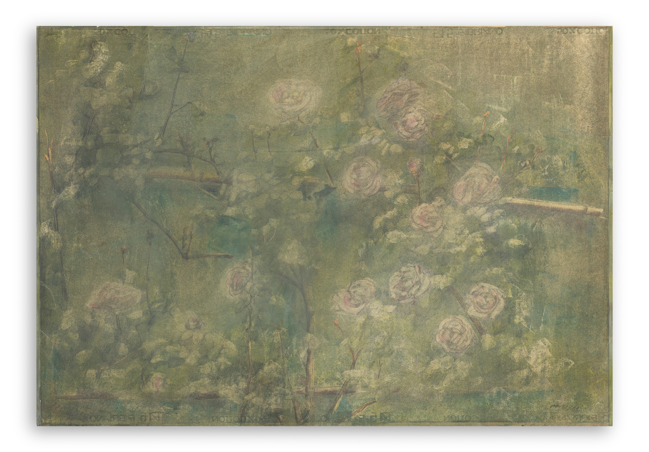 PIERO VIGNOZZI (1934) - Studio di roseto