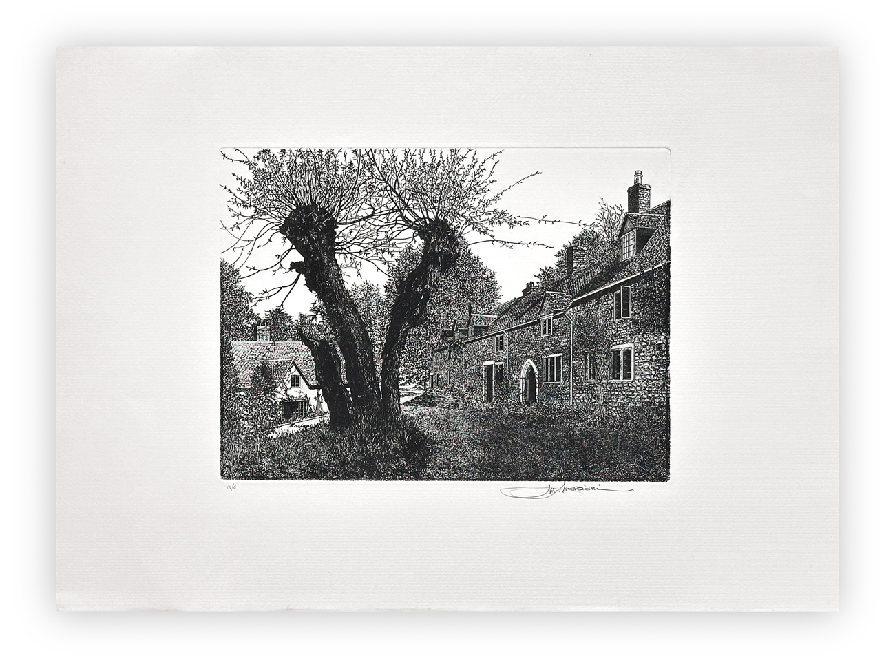 MAURIZIO MARIANI (1937) - I giardini d'Italia