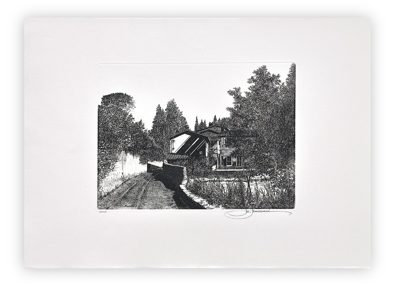 MAURIZIO MARIANI (1937) - I giardini d'Italia