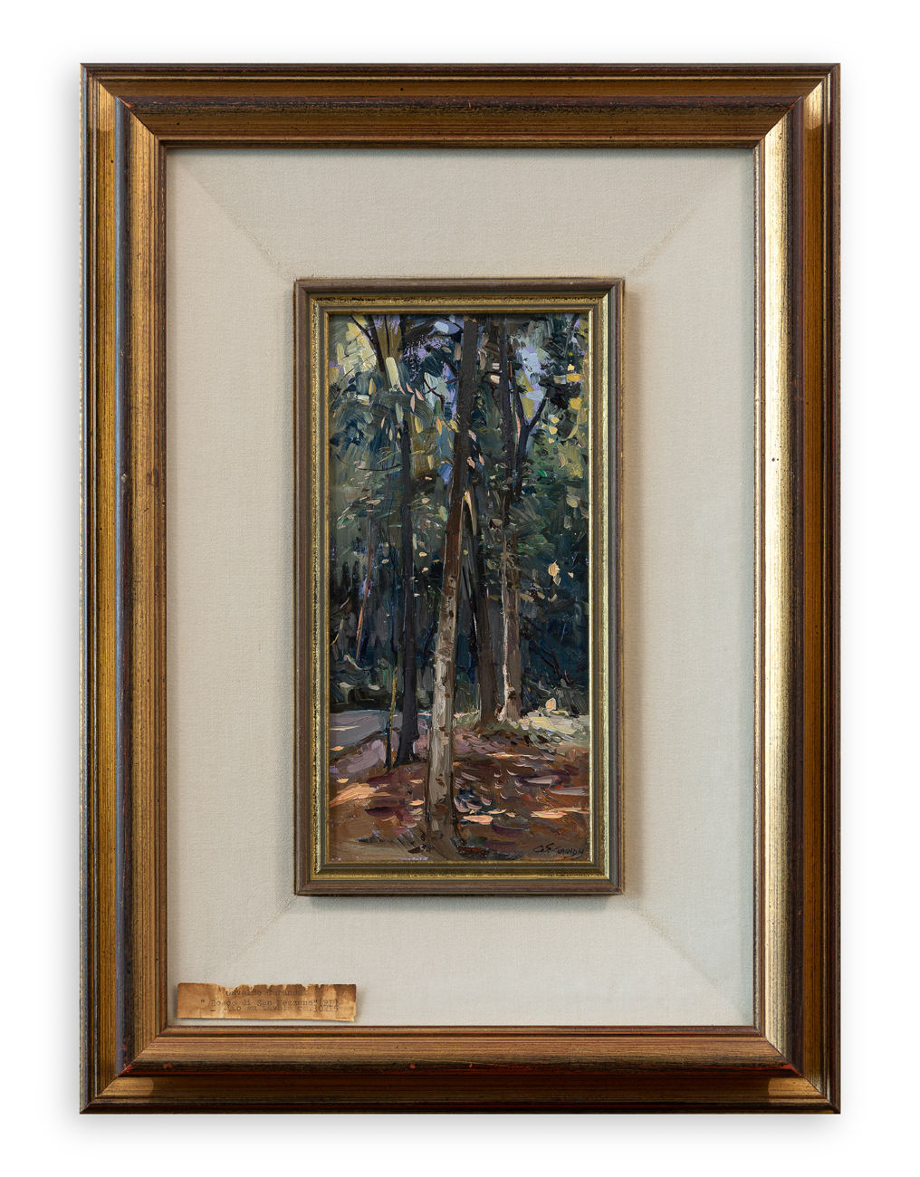 OSVALDO CURANDAI (1921-1939) - Bosco di San Mezzano