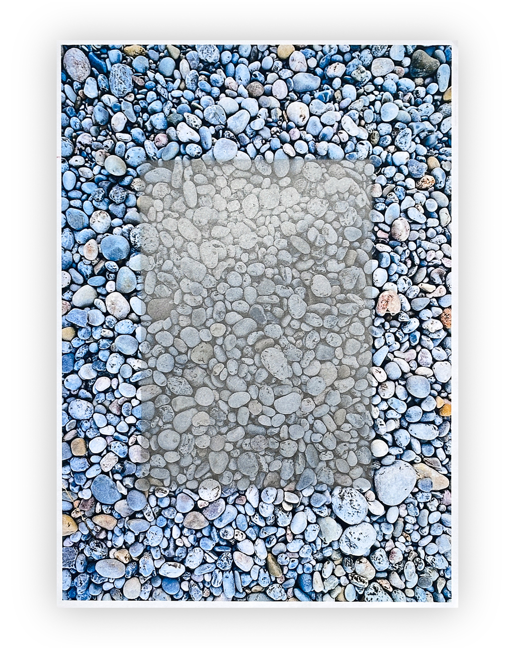 MASSIMO DE LUCA (1960) - Natura, 2025