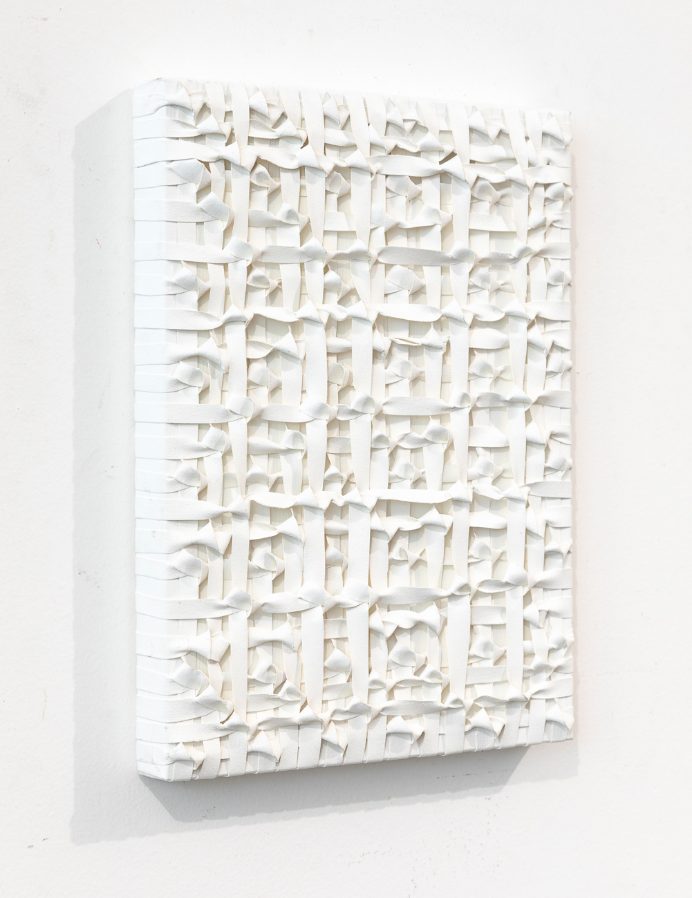 FERNANDO GARBELLOTTO (1955) - Rete Frattale 119kn, 2018