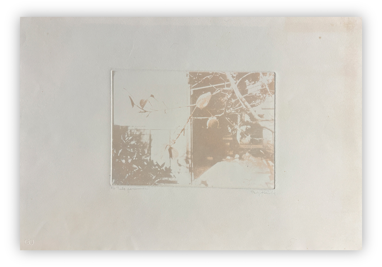 BIRGIT SKIOLD (1923-1982) - Pale persimon