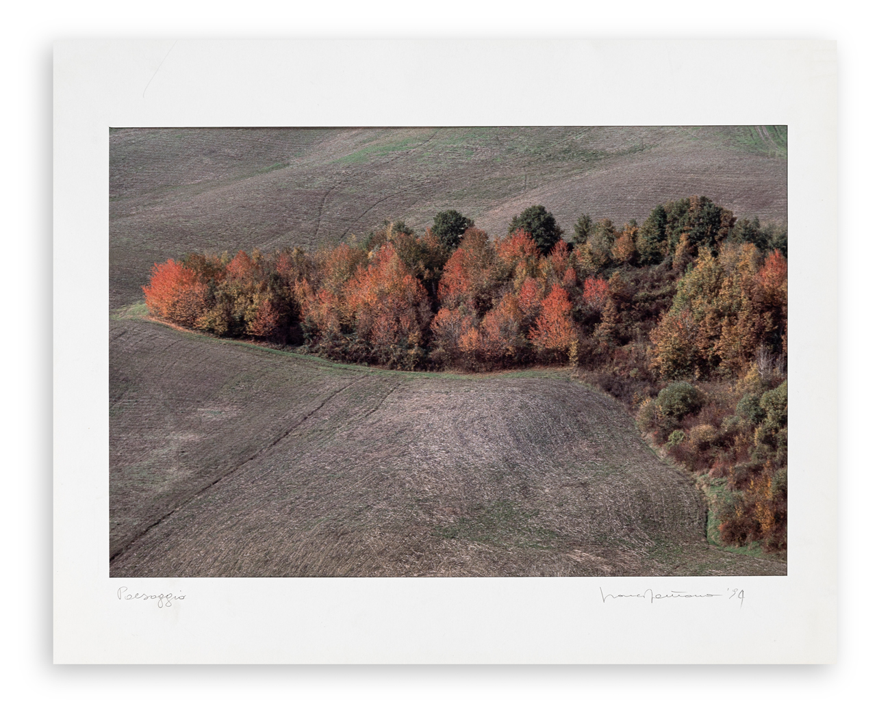 FRANCO FONTANA (1933)  - Paesaggio, 1994