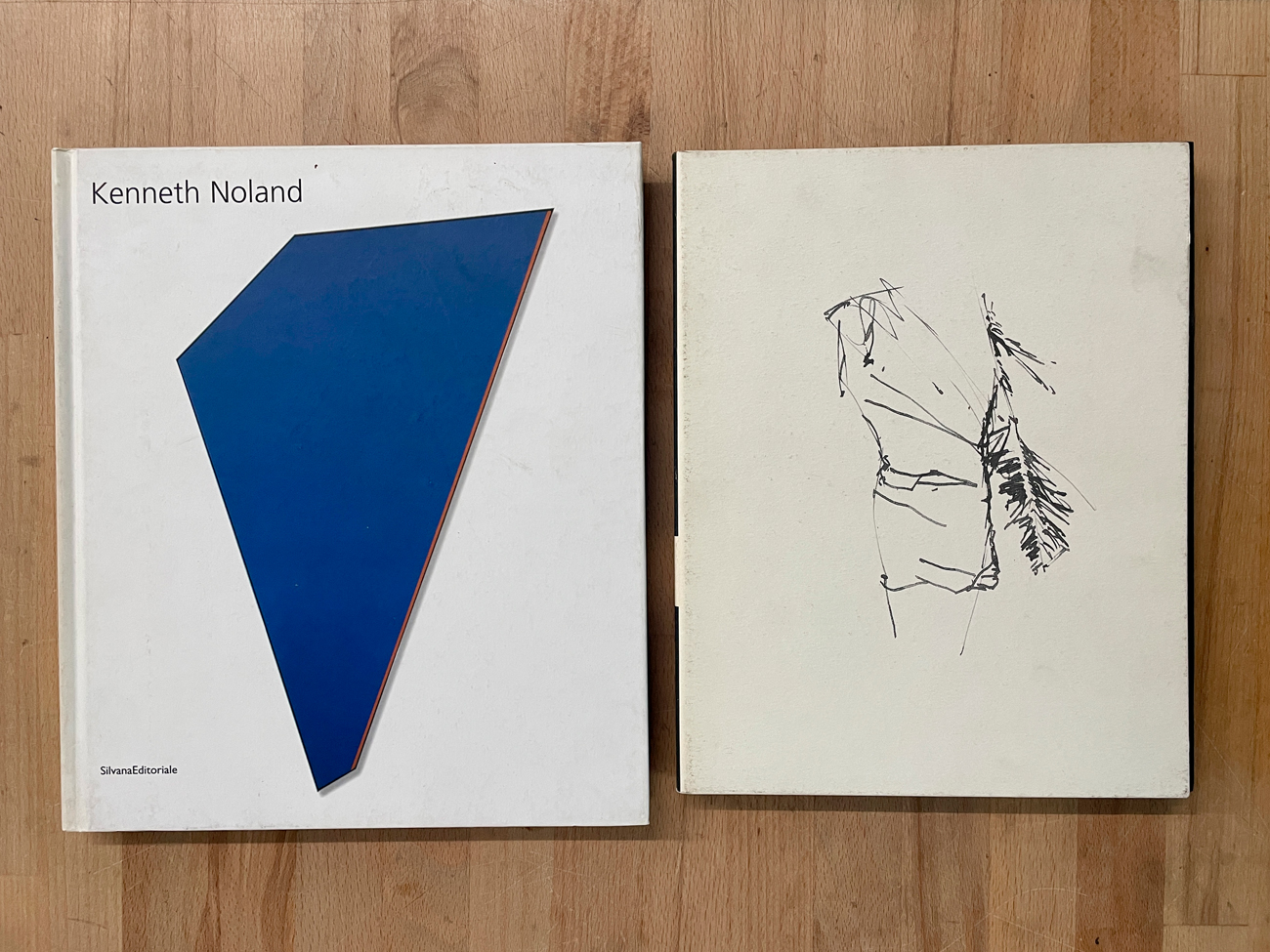 KENNETH NOLAND E BRICE MARDEN - Lotto unico di 2 cataloghi