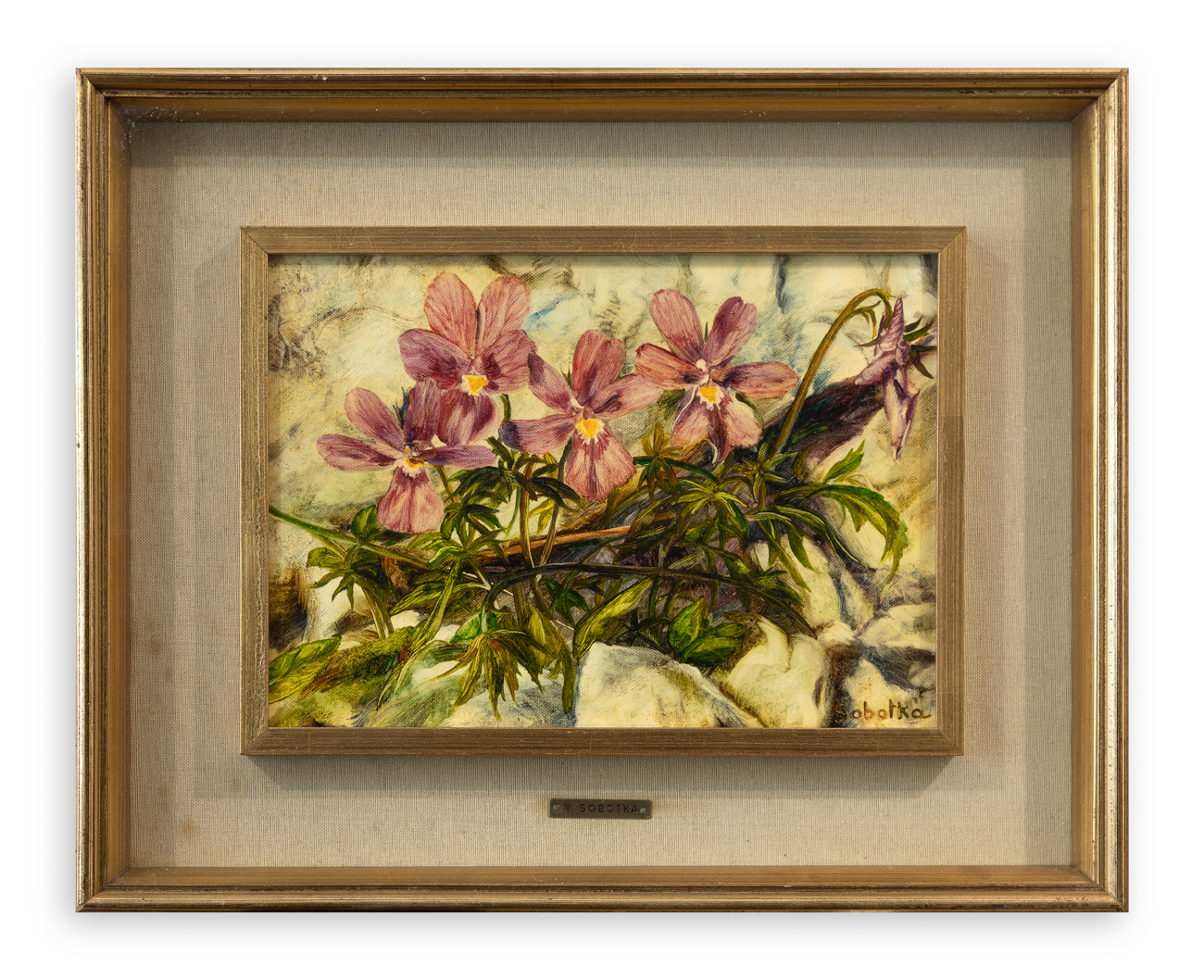 VERA SOBOTKA (1937) - Viole, 1976