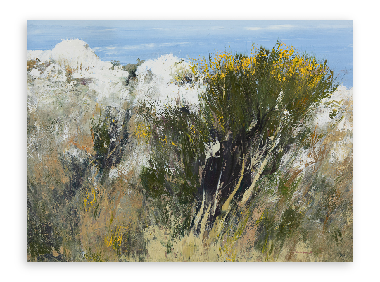 GIANCARLO CAZZANIGA (1930-2013) - Ginestre