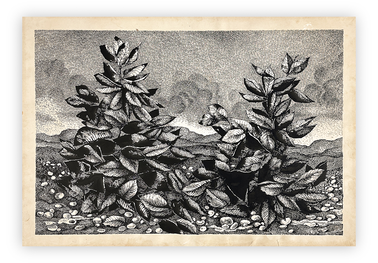 LUCA CRIPPA (1924-2002) - Senza Titolo, 1966