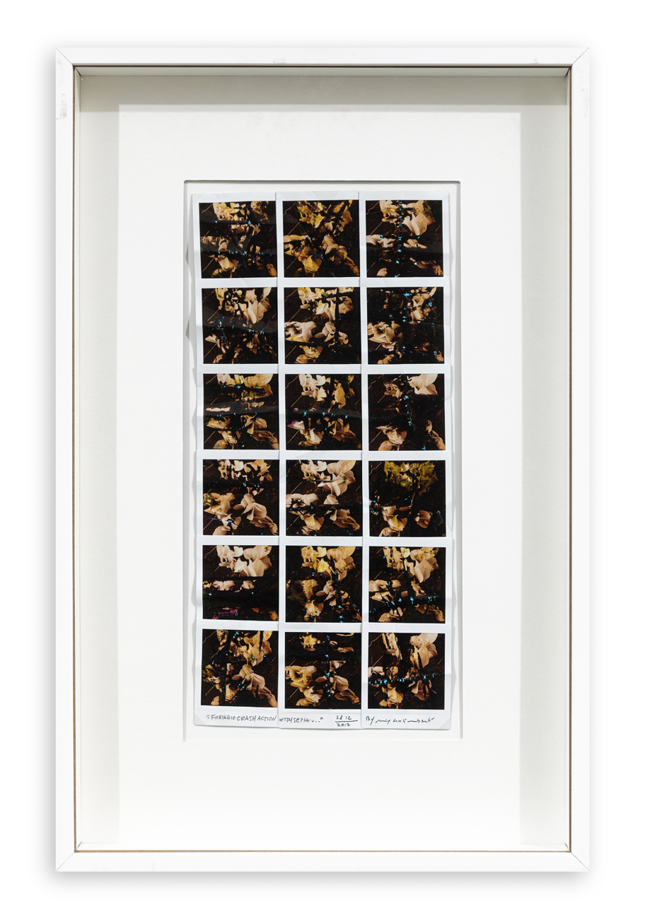 MAURIZIO GALIMBERTI (1956) - FiorarioCrashActionWithSepia, 2018
