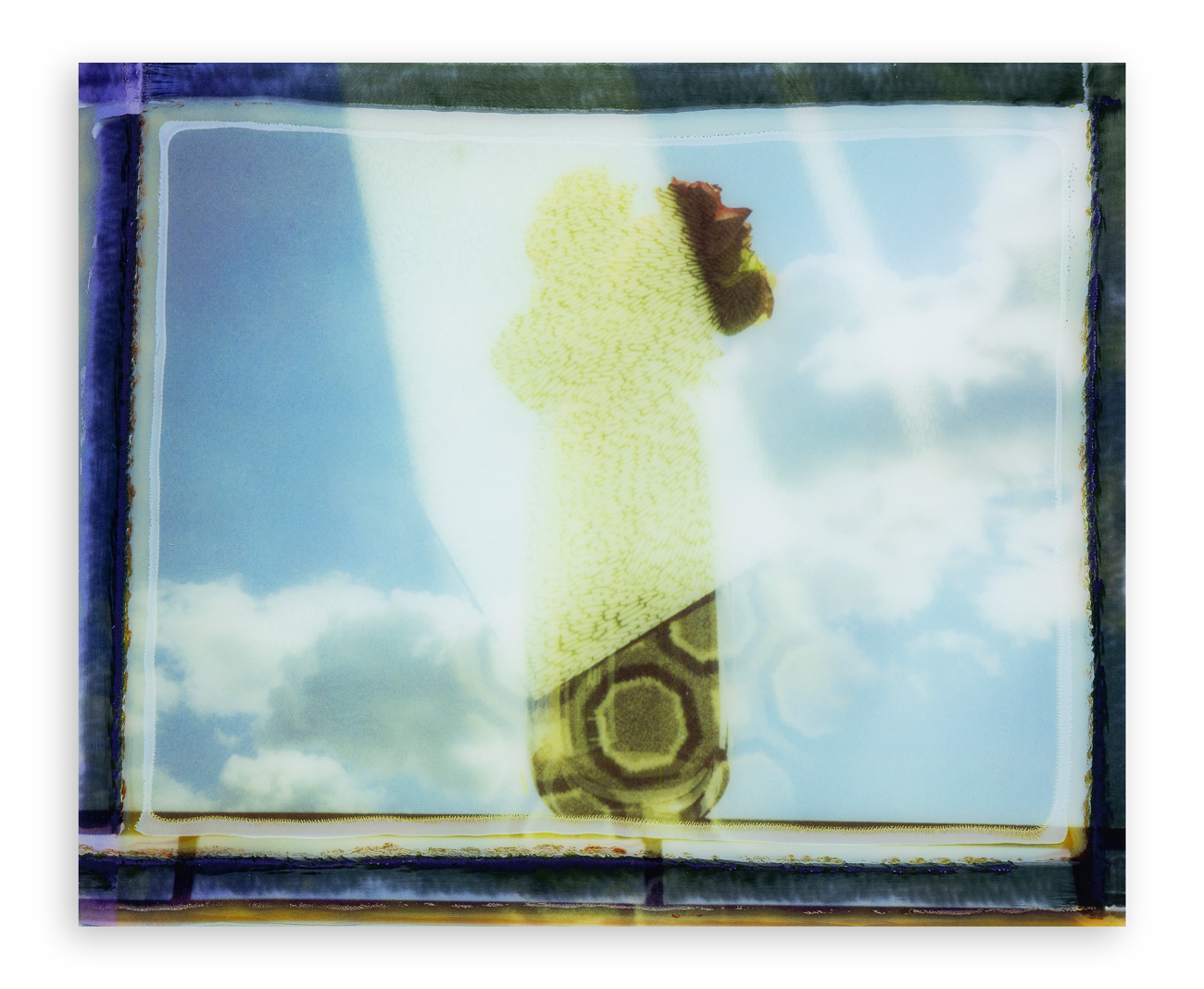 MAURIZIO GALIMBERTI (1956) - Room Flowers 16