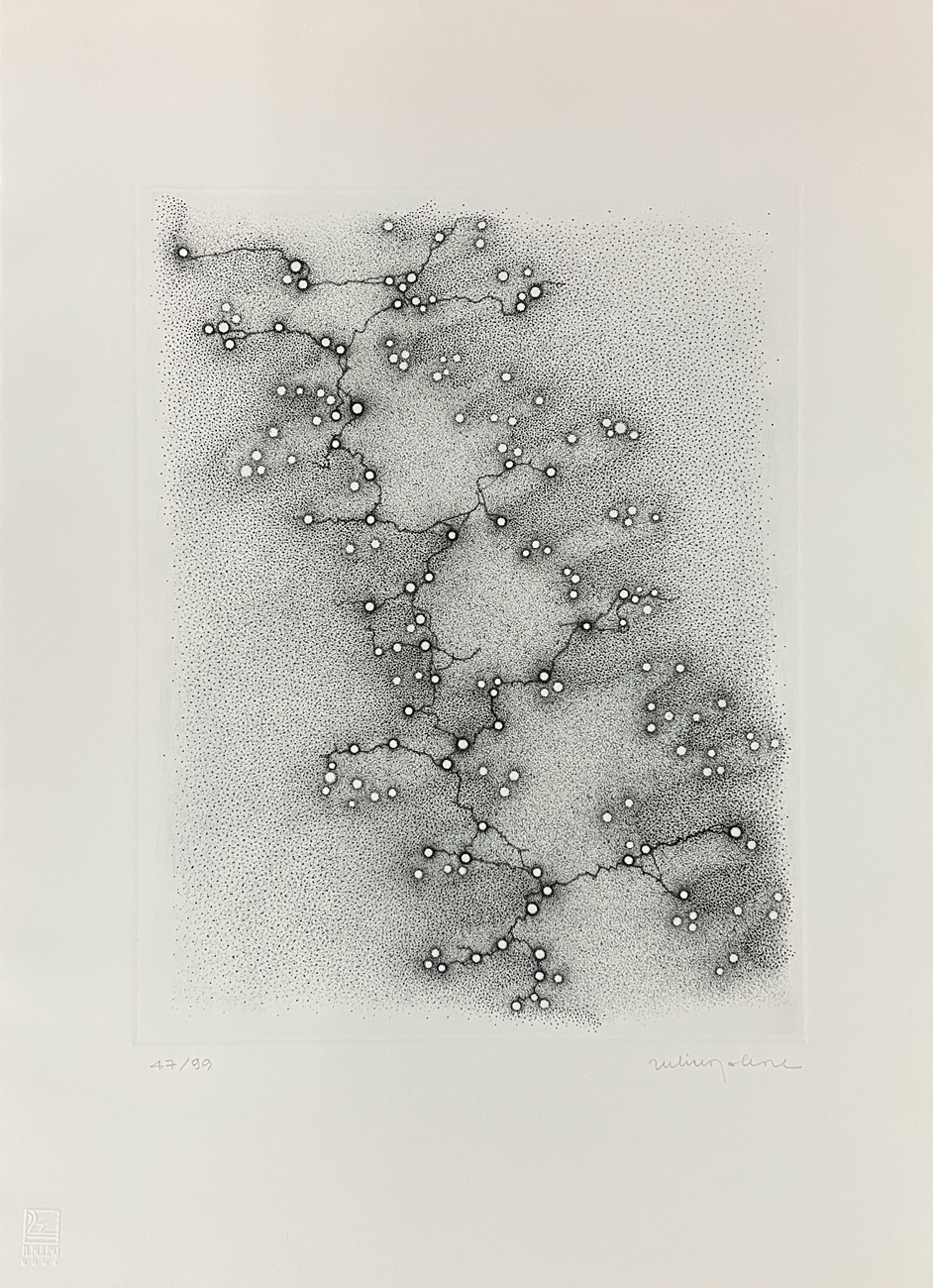 GIULIA NAPOLEONE (1936) - Per ombre sparse, 2001