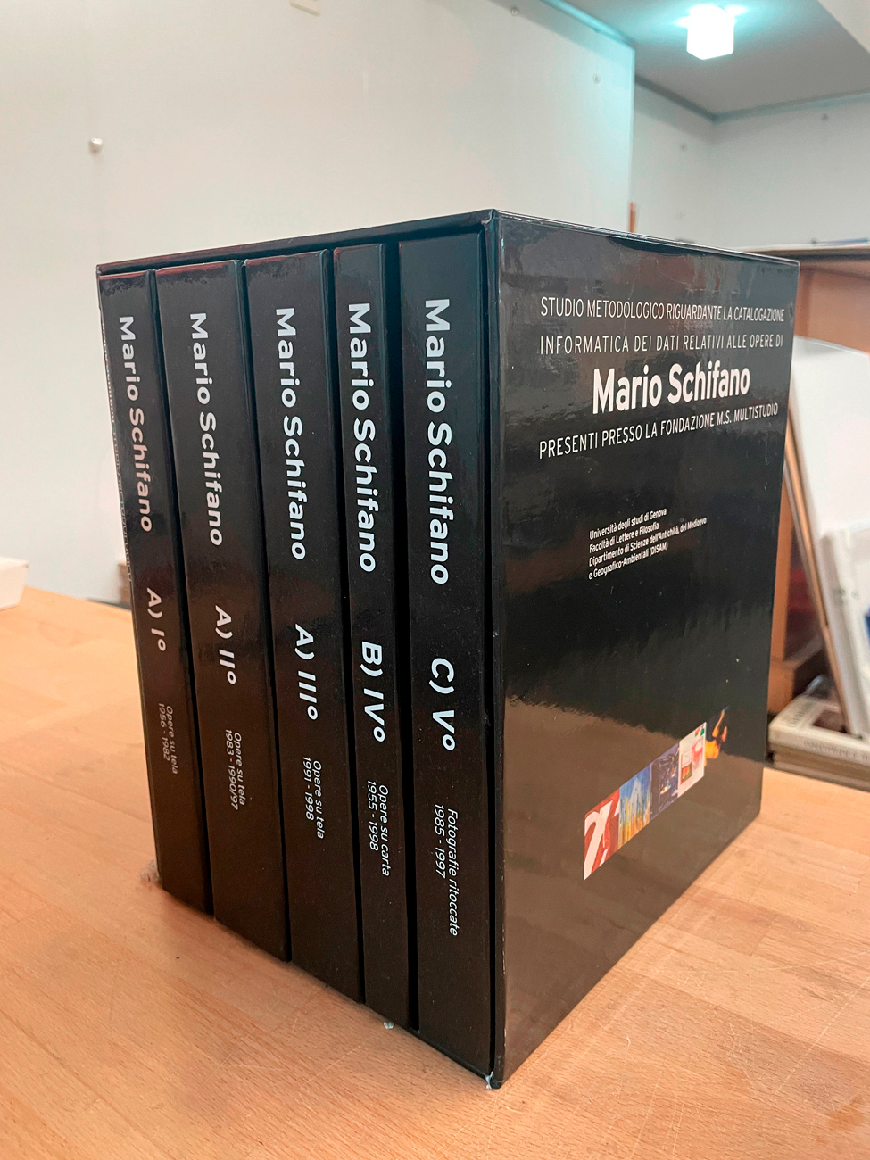 MARIO SCHIFANO - Studio metodologico riguardante la catalogazione informatica dei dati relativi alle opere di Mario Schifano presenti presso la Fondazione M.S. Multistudio