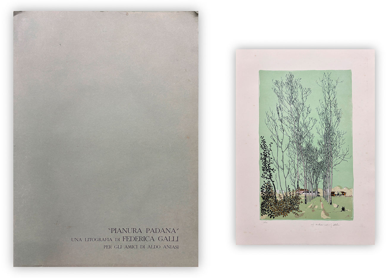 FEDERICA GALLI (1932-2009) - Pianura Padana