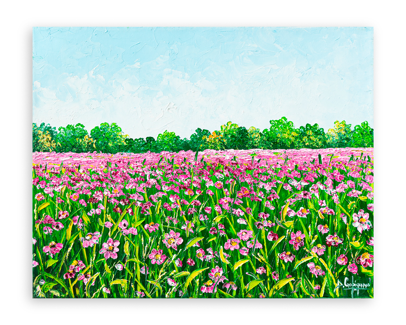 DOMENICO CARPIGNANO (1980) - Violette in festa