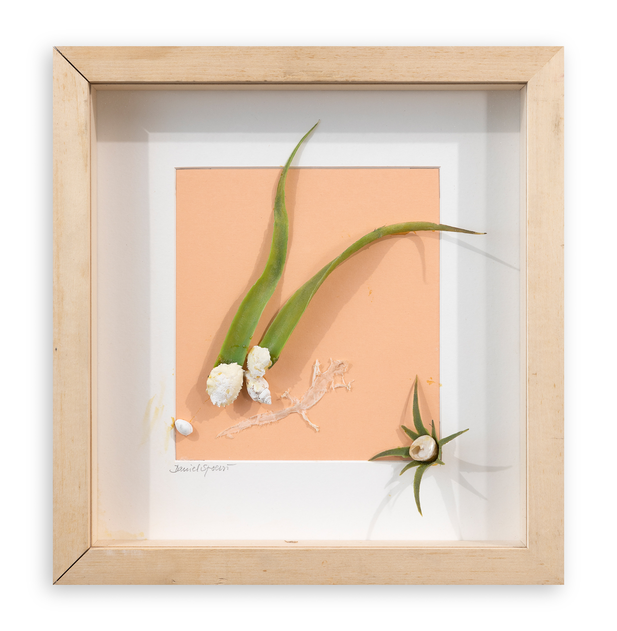 DANIEL SPOERRI (1930-2024) - Senza Titolo