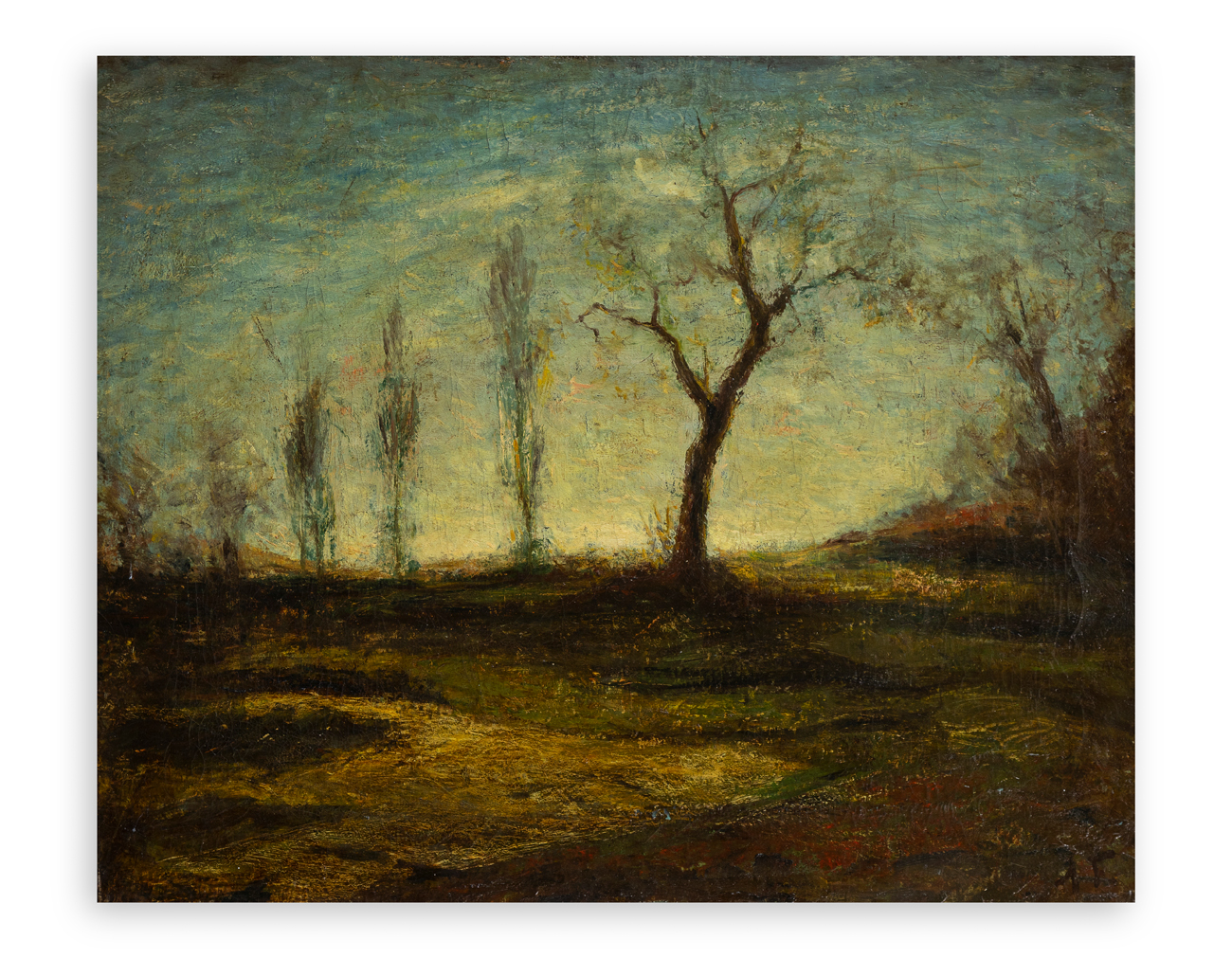 AUTORE INDECIFRATO - Senza Titolo (Alberi al tramonto)