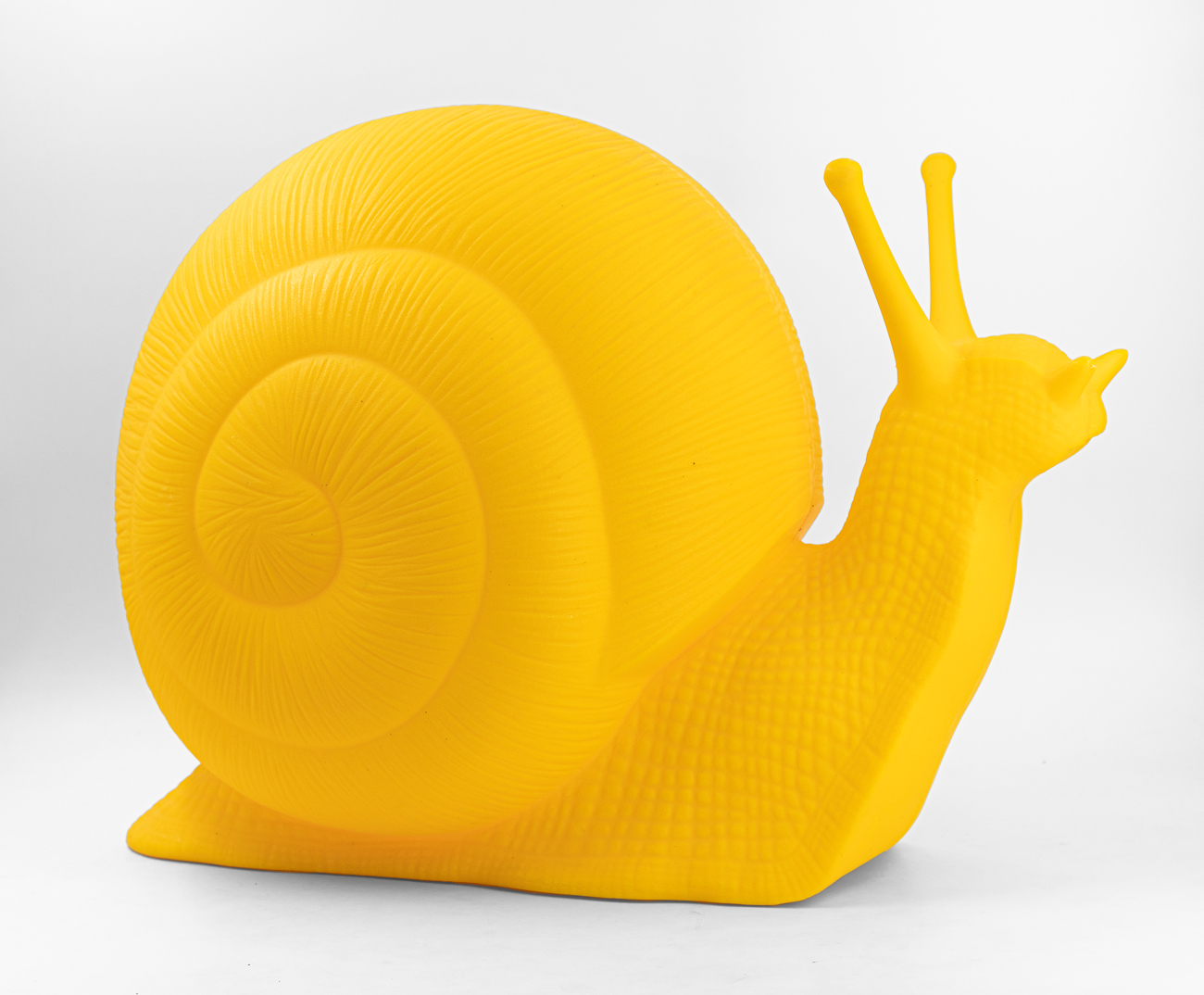 CRACKING ART (1993) - Chiocciola