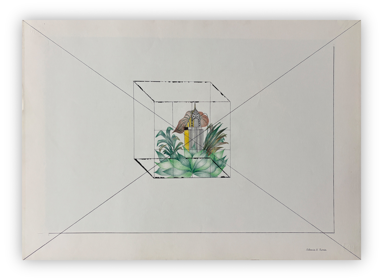 ALESSIA H. CRONIN - Senza Titolo