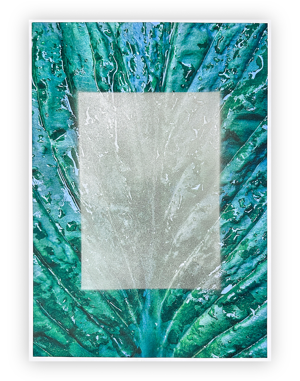 MASSIMO DE LUCA (1960) - Natura, 2025