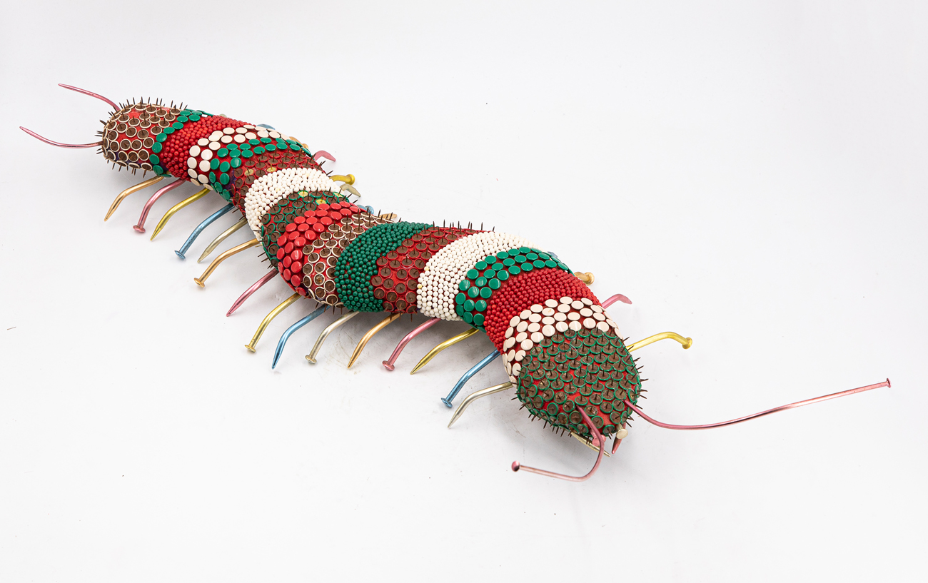 CARLO PASINI (1972) - I Millepiedi