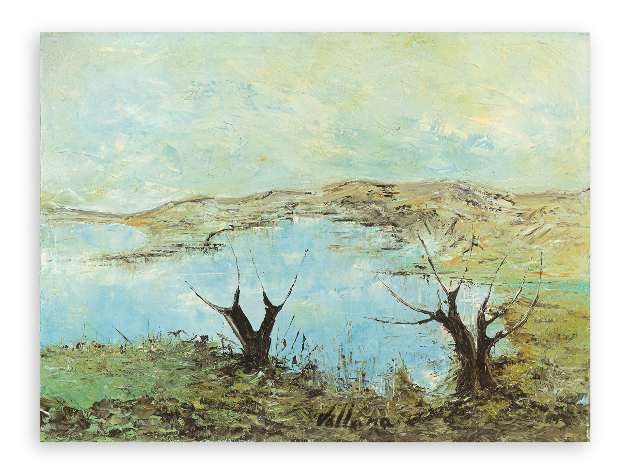 PINUCCIA VALLANA - Senza Titolo (Paesaggio)