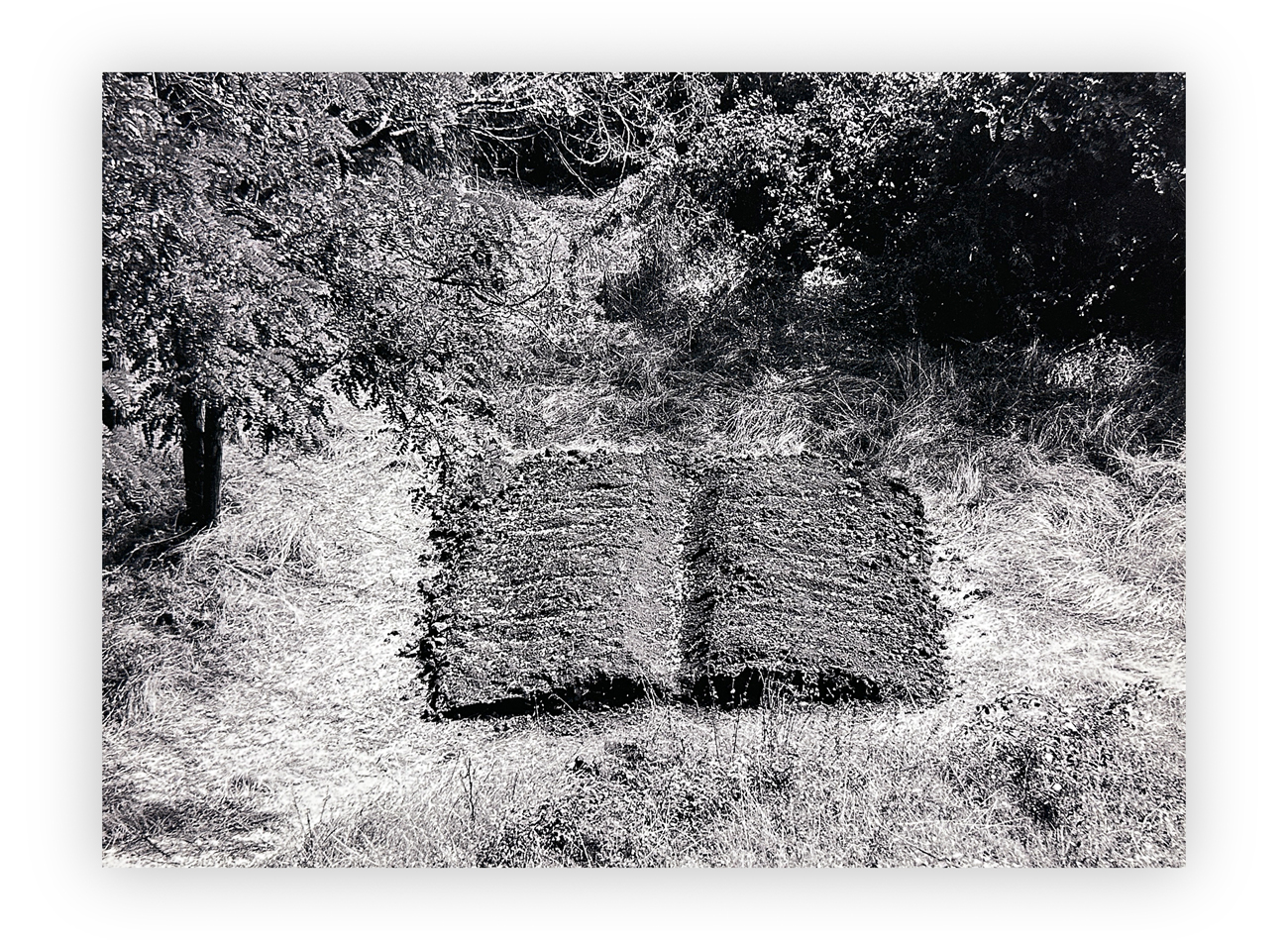 MIRELLA BENTIVOGLIO (1922-2017) - Senza Titolo (Libro-campo)