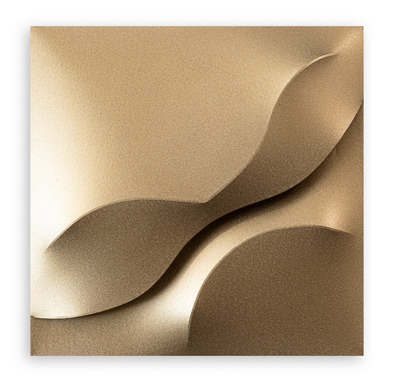 GIUSEPPE AMADIO (1944) - Gonio