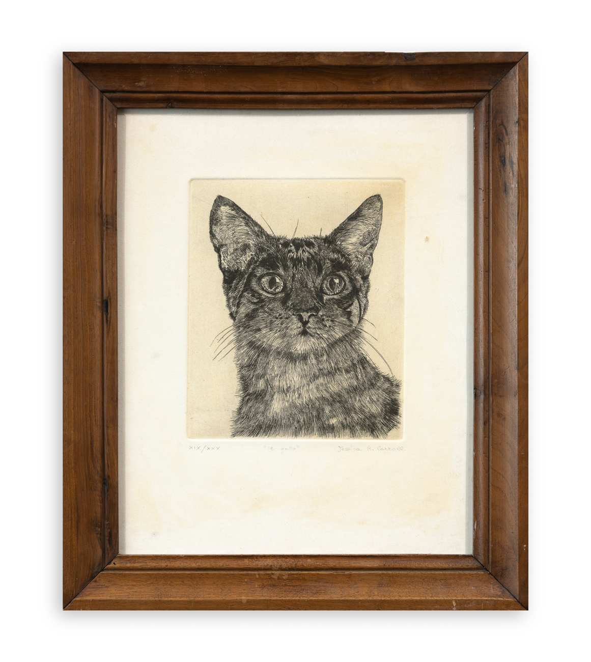 JESSICA CARROLL (1961) - Il gatto