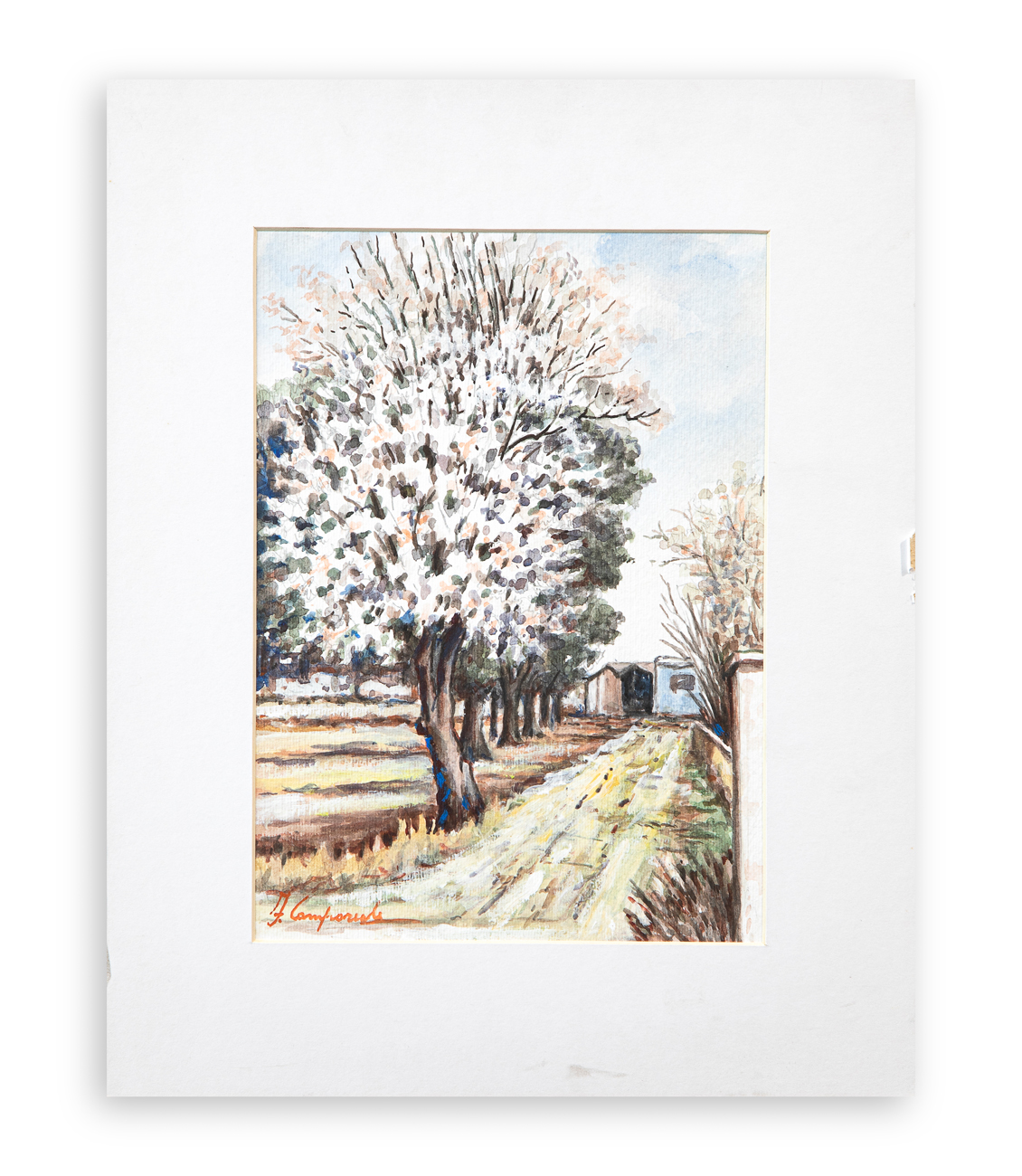 FRANCESCO CAMPOREALE - Senza Titolo