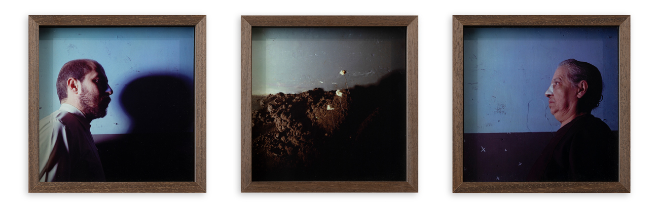 MICHELE ZAZA (1948) - Germinazione, 1978