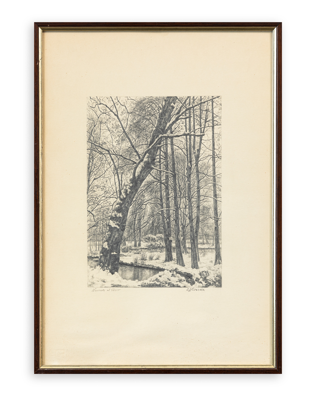 EMILIA NOVARESE - Nevicata al parco