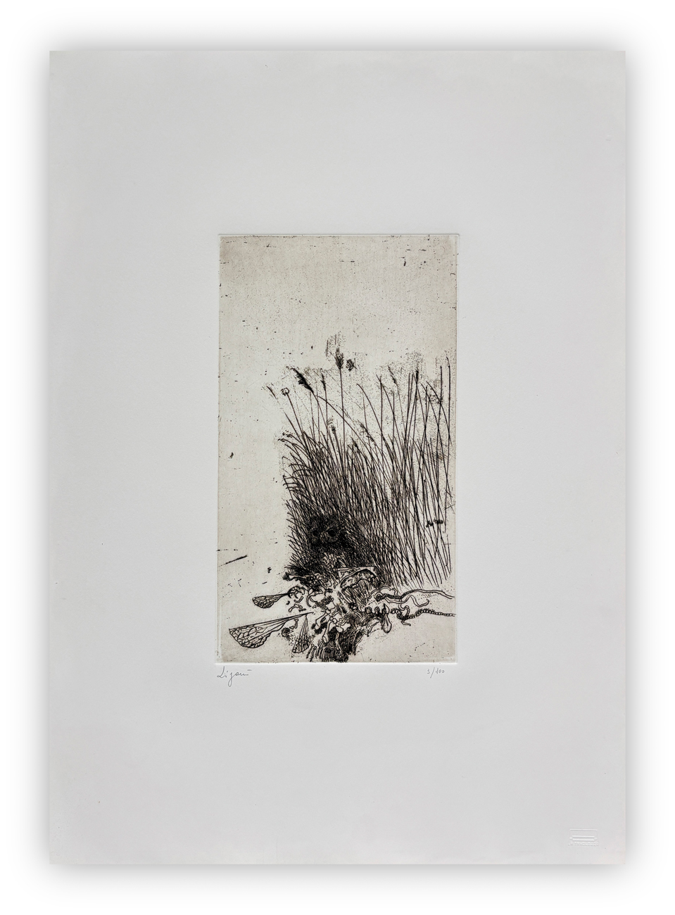 GIUSEPPE ZIGAINA (1924-2015) - Senza Titolo (Uccello nell'erba), 1978