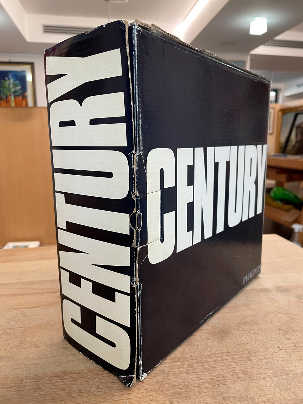 FOTOGRAFIA - Century. One Hundred Years of Human Progress, Regression, Suffering and Hope, 1999
