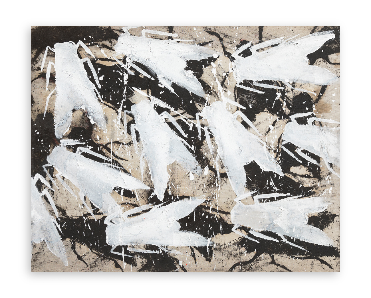 SERGIO RAGALZI (1951-2024) - Insetti, 1989