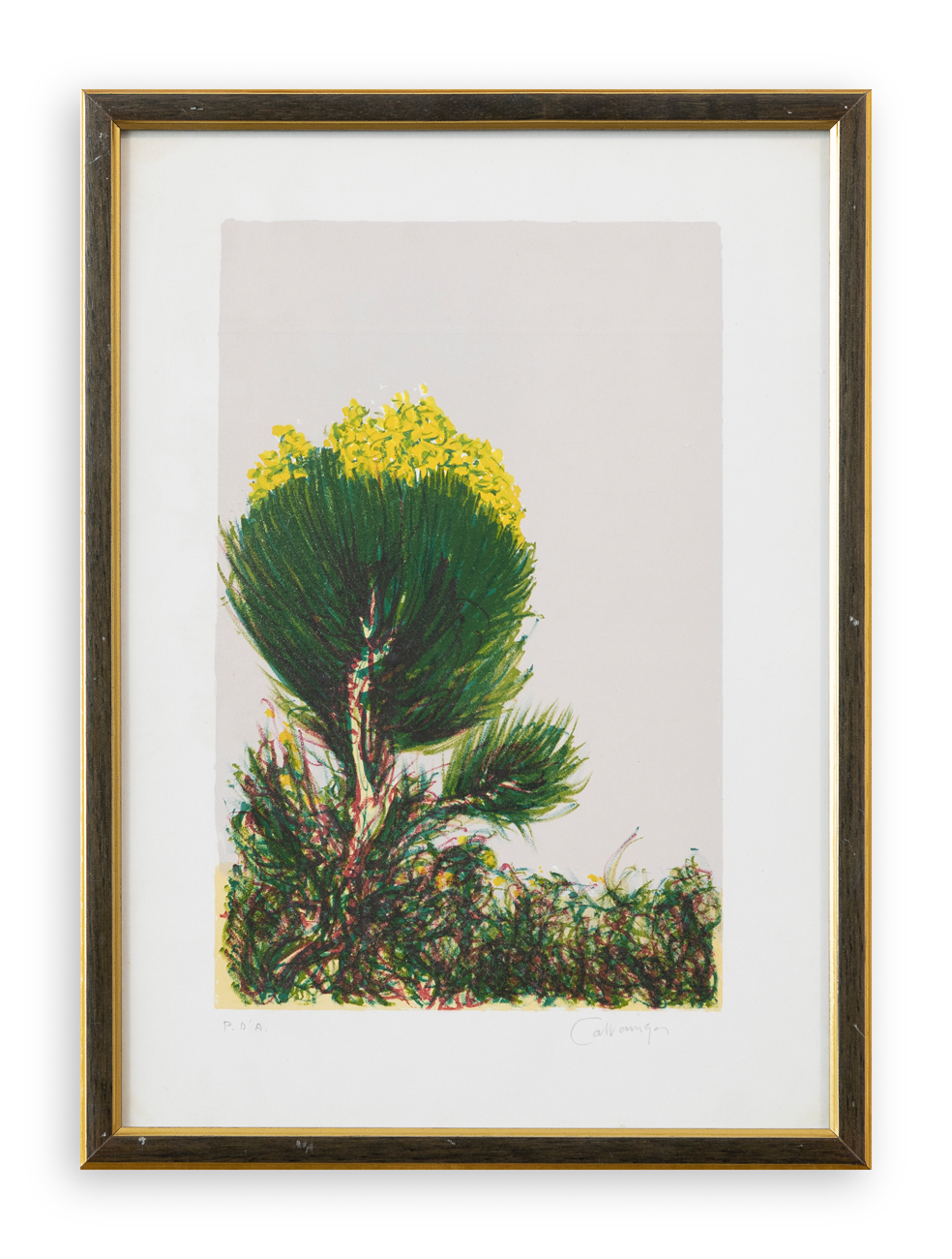 GIANCARLO CAZZANIGA (1930-2013) - Senza Titolo (Ginestre)