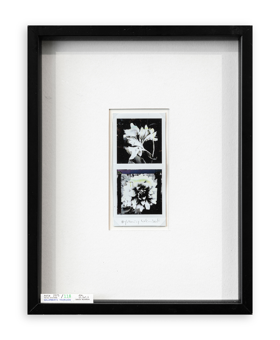 MAURIZIO GALIMBERTI (1956) - BiFlowers