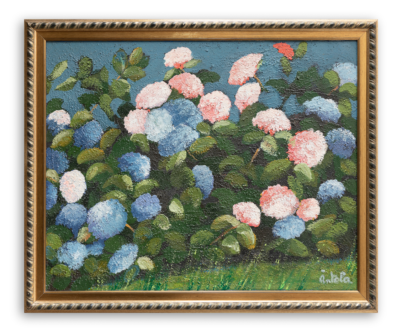 ANTOLA  - Ortensie , 1992