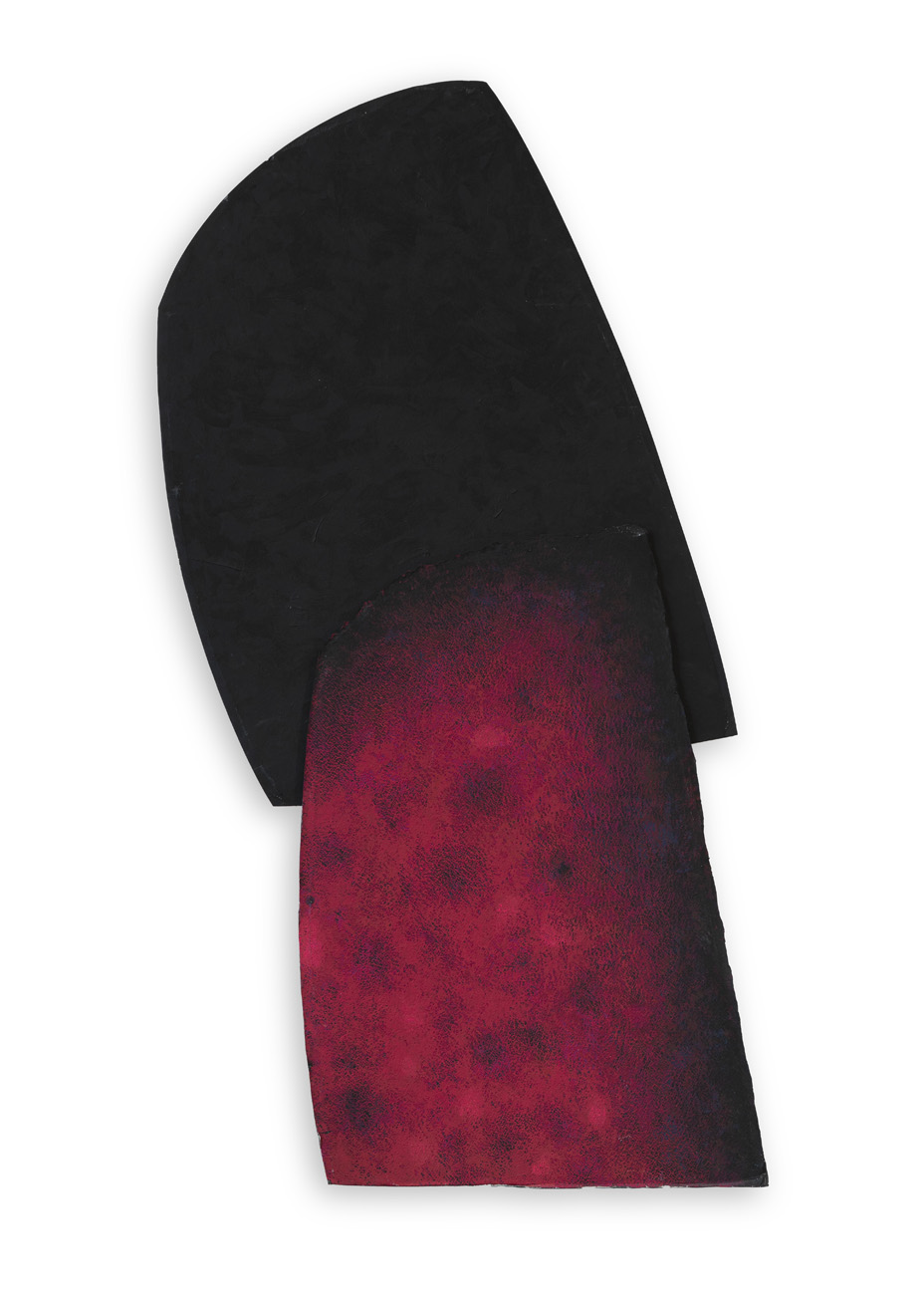 STEFANO TURRINI (1951) - Ombra di un rosa primario, 2006